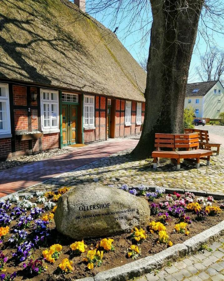 Hotel Kaiserhof Munster im Heidekreis Esterno foto